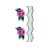 Garden Roses Flowers Garden Roses Flowers