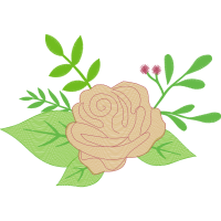 Garden Roses Flowers