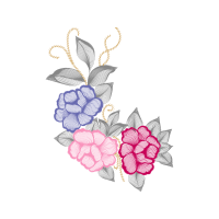 Garden Roses Flowers