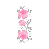 Garden Roses Flowers