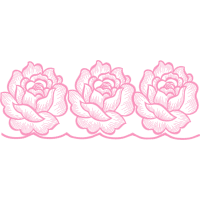 Garden Roses Flowers Garden Roses Flowers