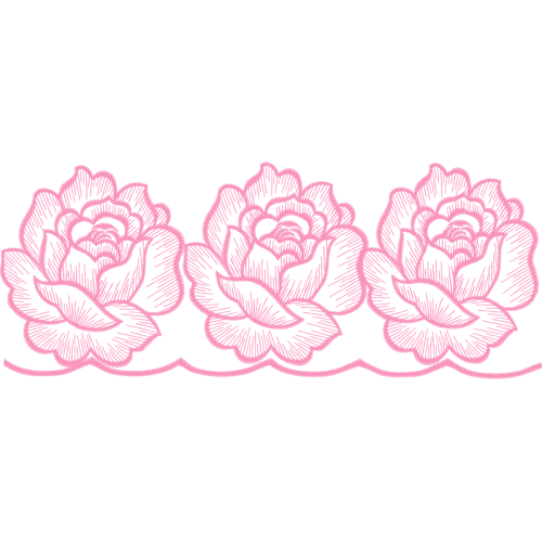 Garden Roses Flowers Garden Roses Flowers