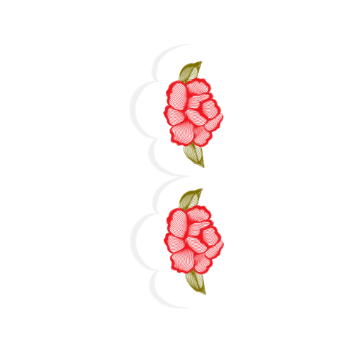 Garden Roses Flowers Garden Roses Flowers