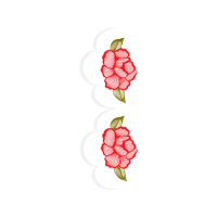 Garden Roses Flowers Garden Roses Flowers