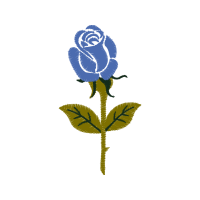 Garden Roses Flowers