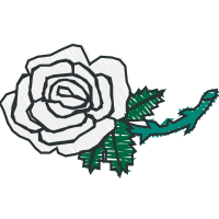 Garden Roses Flowers Garden Roses Flowers