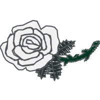 Garden Roses Flowers Garden Roses Flowers