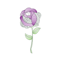 Garden Roses Flowers Garden Roses Flowers