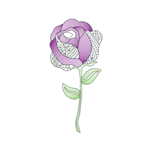 Garden Roses Flowers Garden Roses Flowers