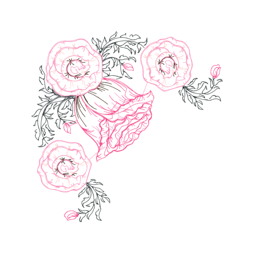 Garden Roses Flowers Garden Roses Flowers