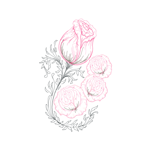 Garden Roses Flowers Garden Roses Flowers