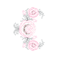 Garden Roses Flowers Garden Roses Flowers