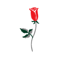 Garden Roses Flowers