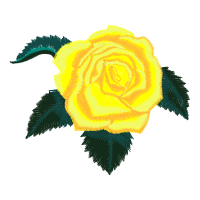 Garden Roses Flowers