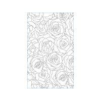 Garden Roses Flowers