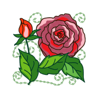 Garden Roses Flowers