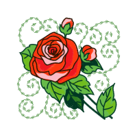 Garden Roses Flowers