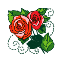 Garden Roses Flowers