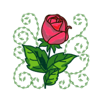 Garden Roses Flowers