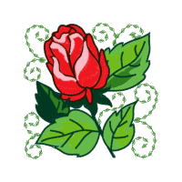 Garden Roses Flowers