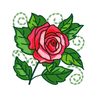 Garden Roses Flowers