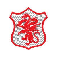 Garden Roses Flowers