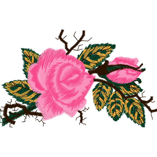 Garden Roses Flowers Garden Roses Flowers