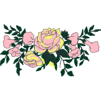 Garden Roses Flowers Garden Roses Flowers