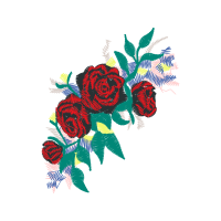 Garden Roses Flowers Garden Roses Flowers