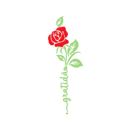 Garden Roses Flowers Garden Roses Flowers