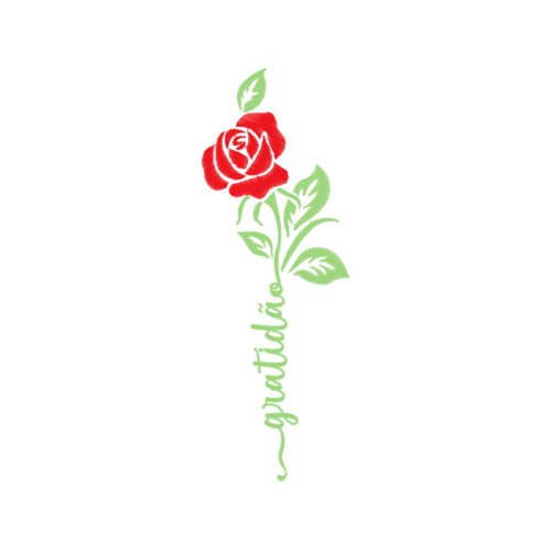 Garden Roses Flowers Garden Roses Flowers