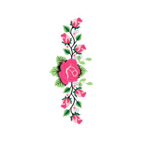 Garden Roses Flowers Garden Roses Flowers