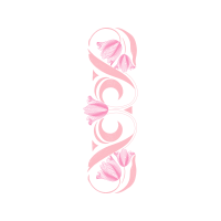 Garden Roses Flowers Garden Roses Flowers