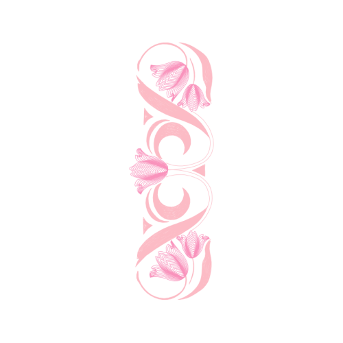 Garden Roses Flowers Garden Roses Flowers