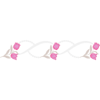 Garden Roses Flowers