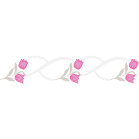 Garden Roses Flowers