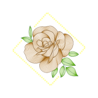 Garden Roses Flowers