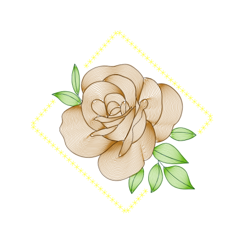 Garden Roses Flowers Garden Roses Flowers