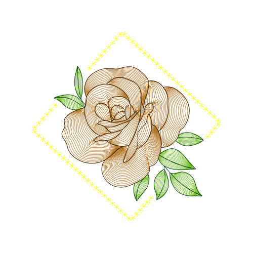 Garden Roses Flowers Garden Roses Flowers