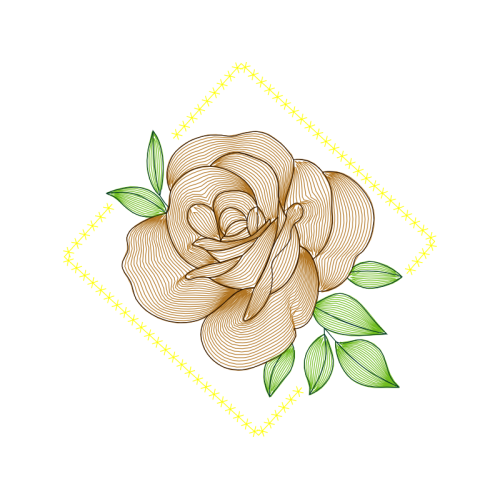 Garden Roses Flowers Garden Roses Flowers