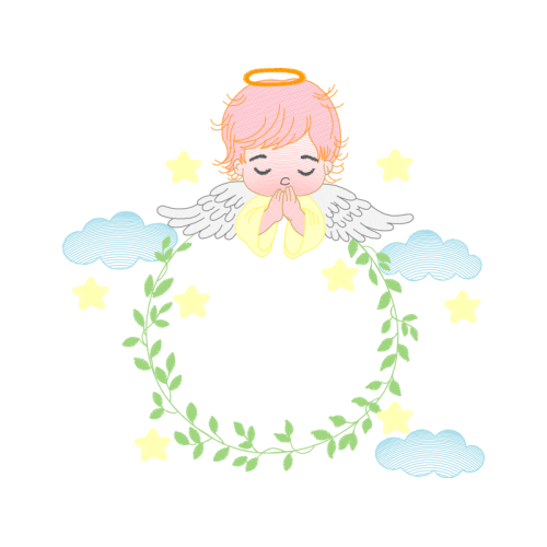 Garden Roses Flowers Garden Roses Flowers