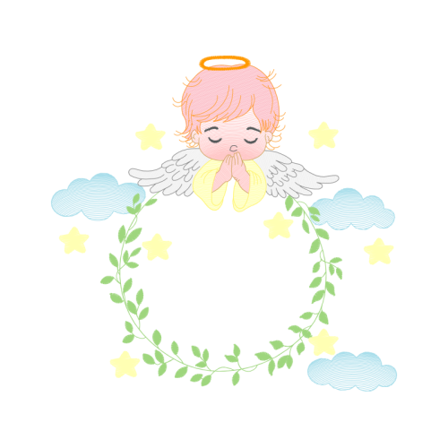 Garden Roses Flowers Garden Roses Flowers