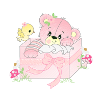 Garden Roses Flowers Garden Roses Flowers