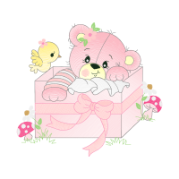 Garden Roses Flowers Garden Roses Flowers