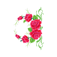 Garden Roses Flowers