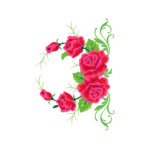 Garden Roses Flowers Garden Roses Flowers