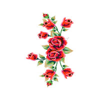 Garden Roses Flowers