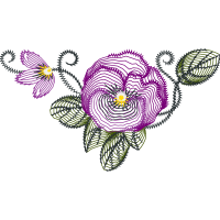 Garden Roses Flowers Garden Roses Flowers