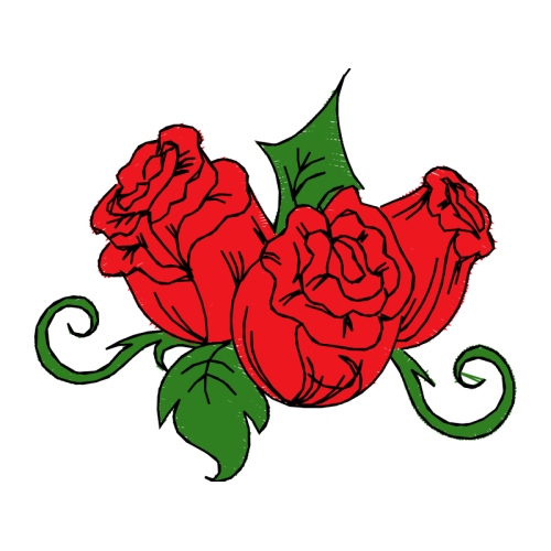 Garden Roses Flowers Garden Roses Flowers