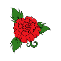 Garden Roses Flowers